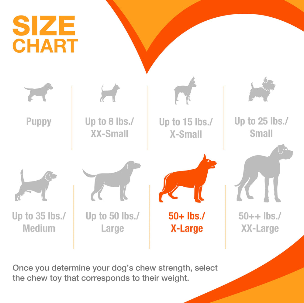 Nylabone Ring Power Chew: apto para perros que necesitan masticar.