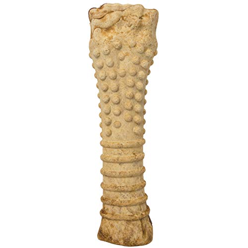 Nylabone Uso diario para ocupar al perro durante el día.
