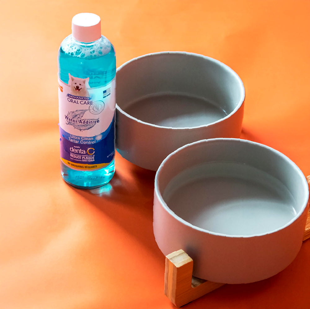 Cucharada de aditivo dental Nylabone añadida al agua del perro
