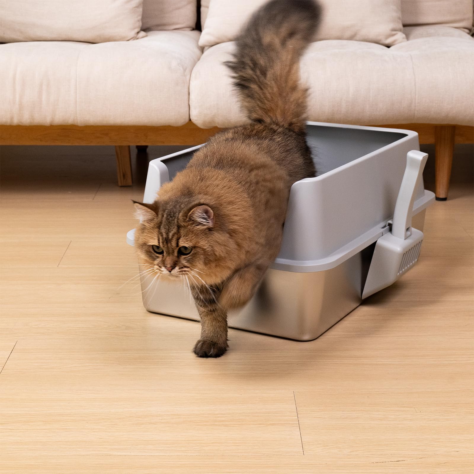Nyutu caja para gatos grandes con paredes altas y gran capacidad.