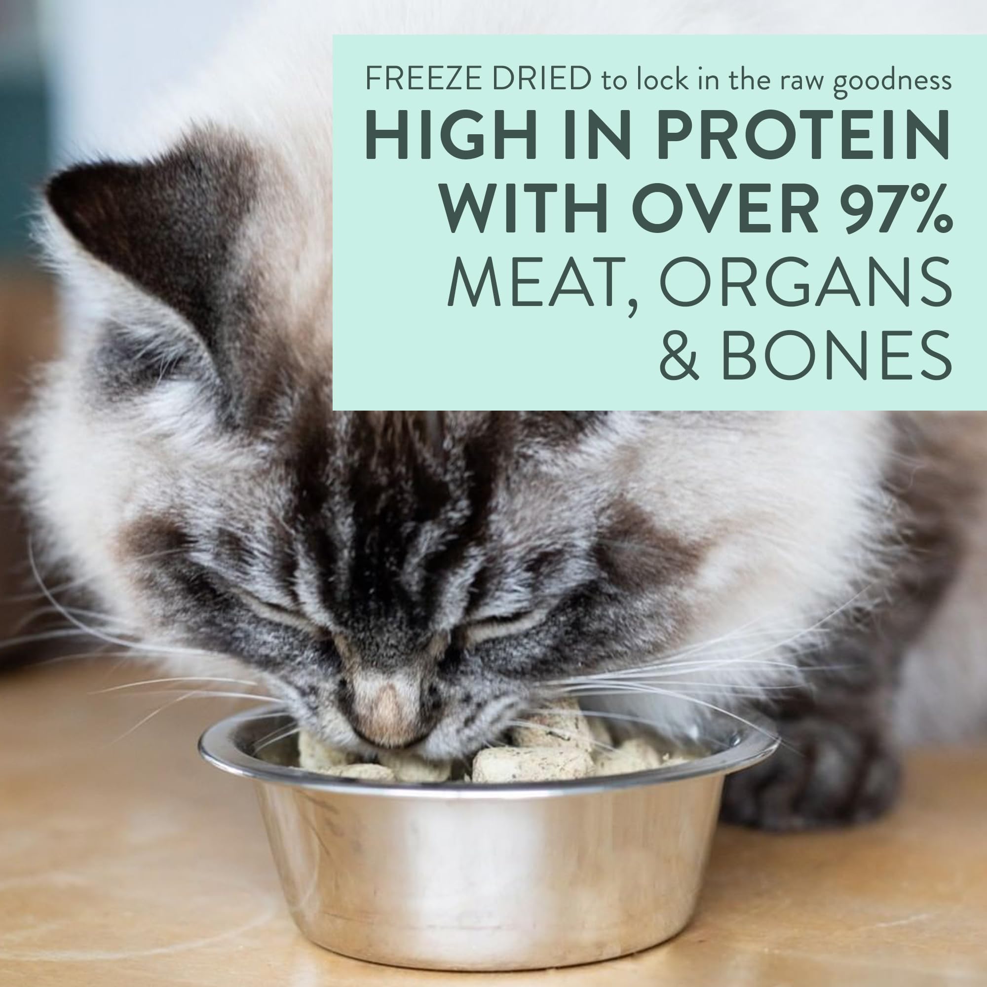 Meow de The New Zealand Natural Pet Food Co.: producción en Nueva Zelanda y trazabilidad.