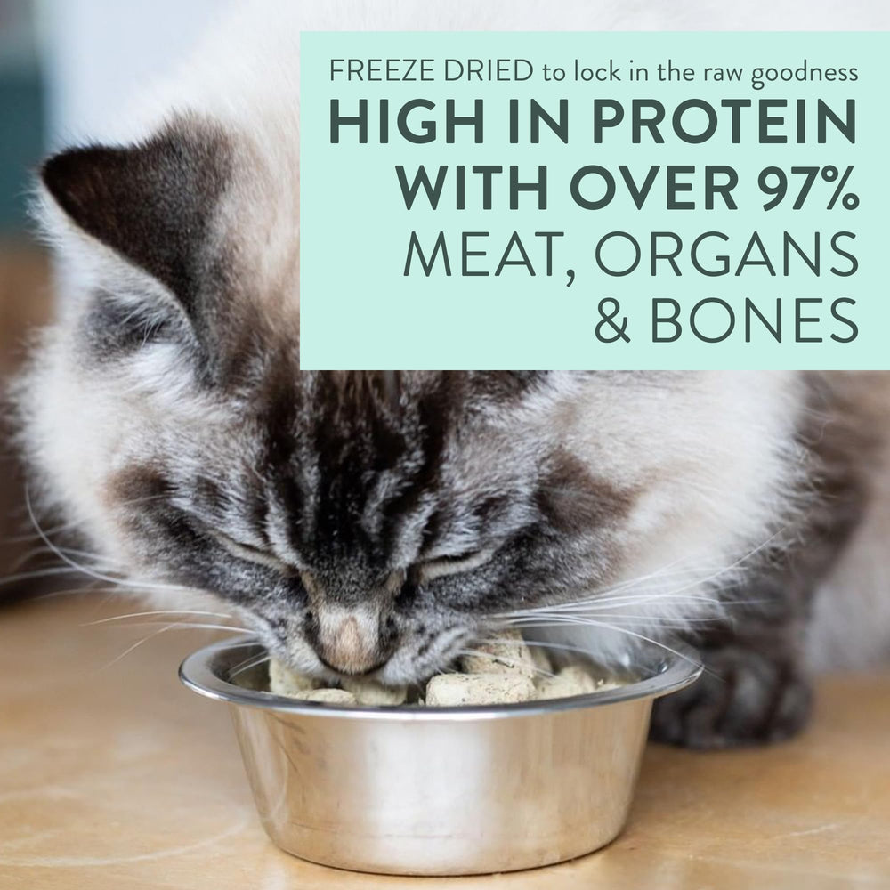 Meow de The New Zealand Natural Pet Food Co.: producción en Nueva Zelanda y trazabilidad.