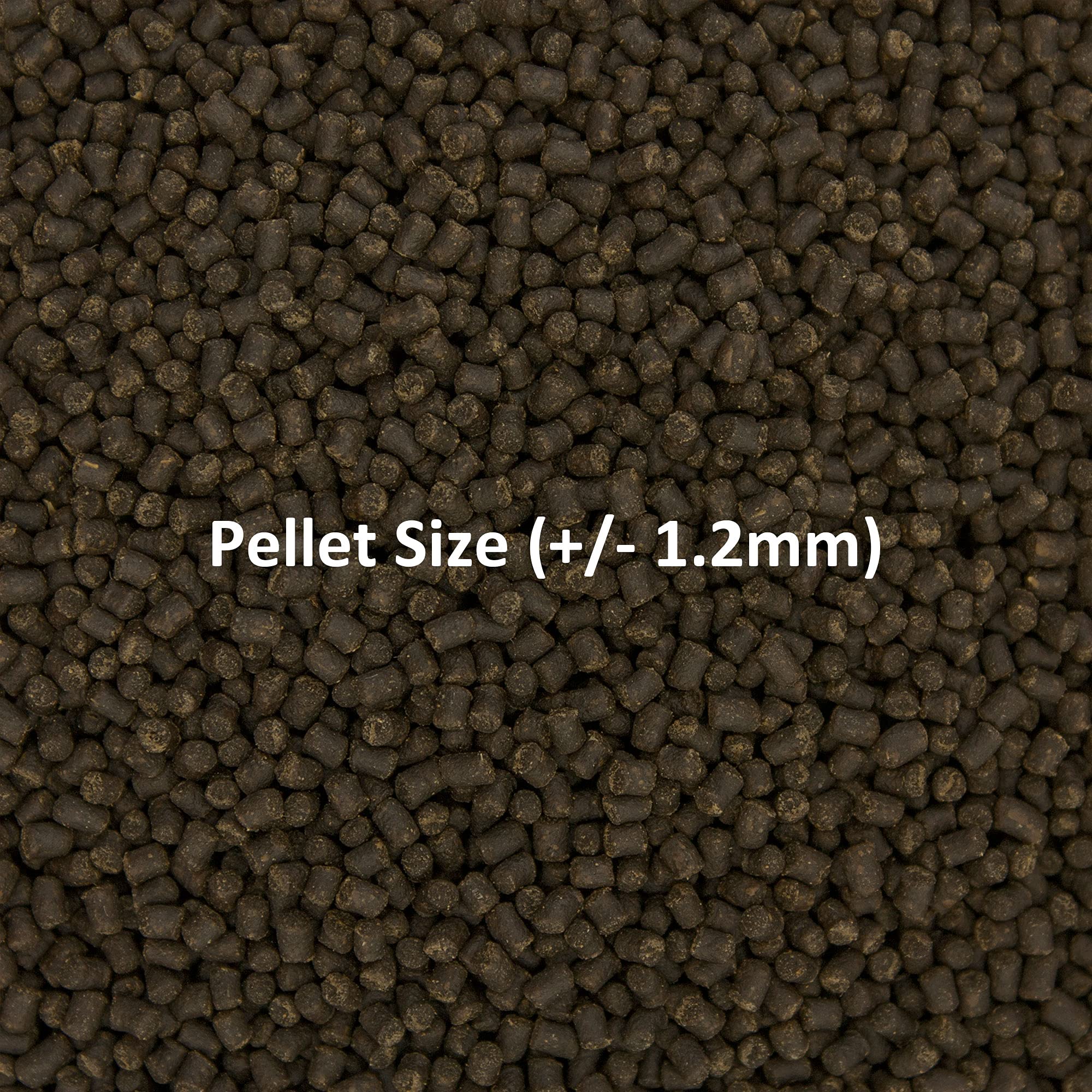 Ocean Nutrition Formula Two Pellets, conserva la frescura más tiempo en envases sin oxígeno.