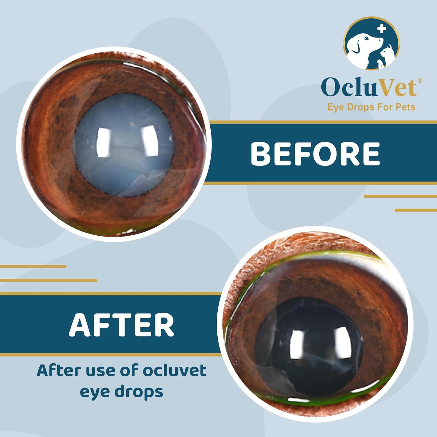 Formulación antioxidante de OcluVet para el cuidado ocular