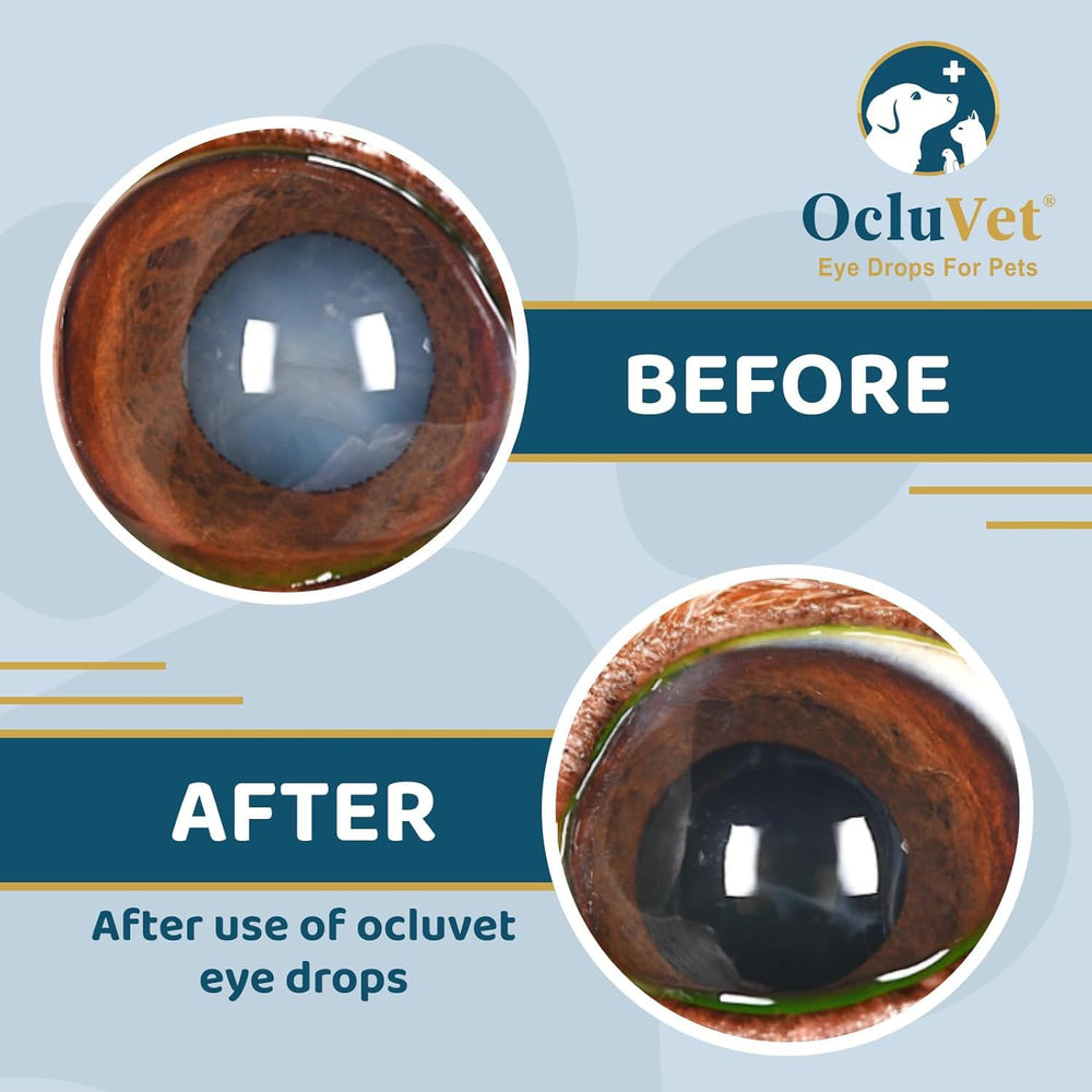 Formulación antioxidante de OcluVet para el cuidado ocular
