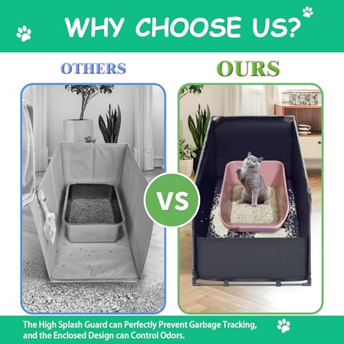 OCMML interior view demonstrating roomy space for cats