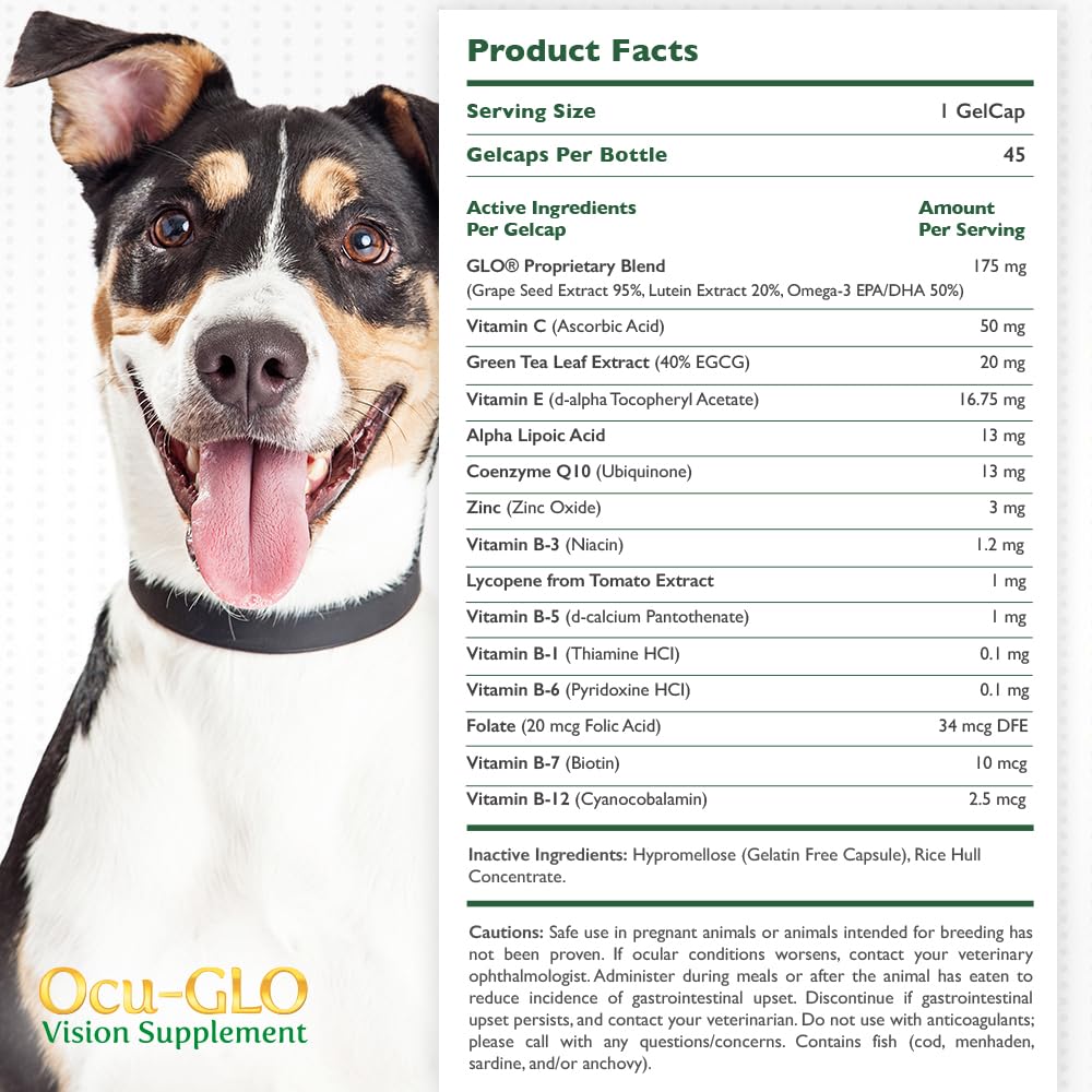 Ocu-GLO cápsulas gel para visión de perros, fácil de administrar.