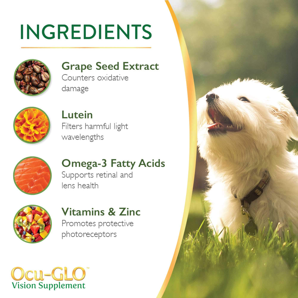 Ocu-GLO mezclar en comida húmeda para perros, dosis diaria.
