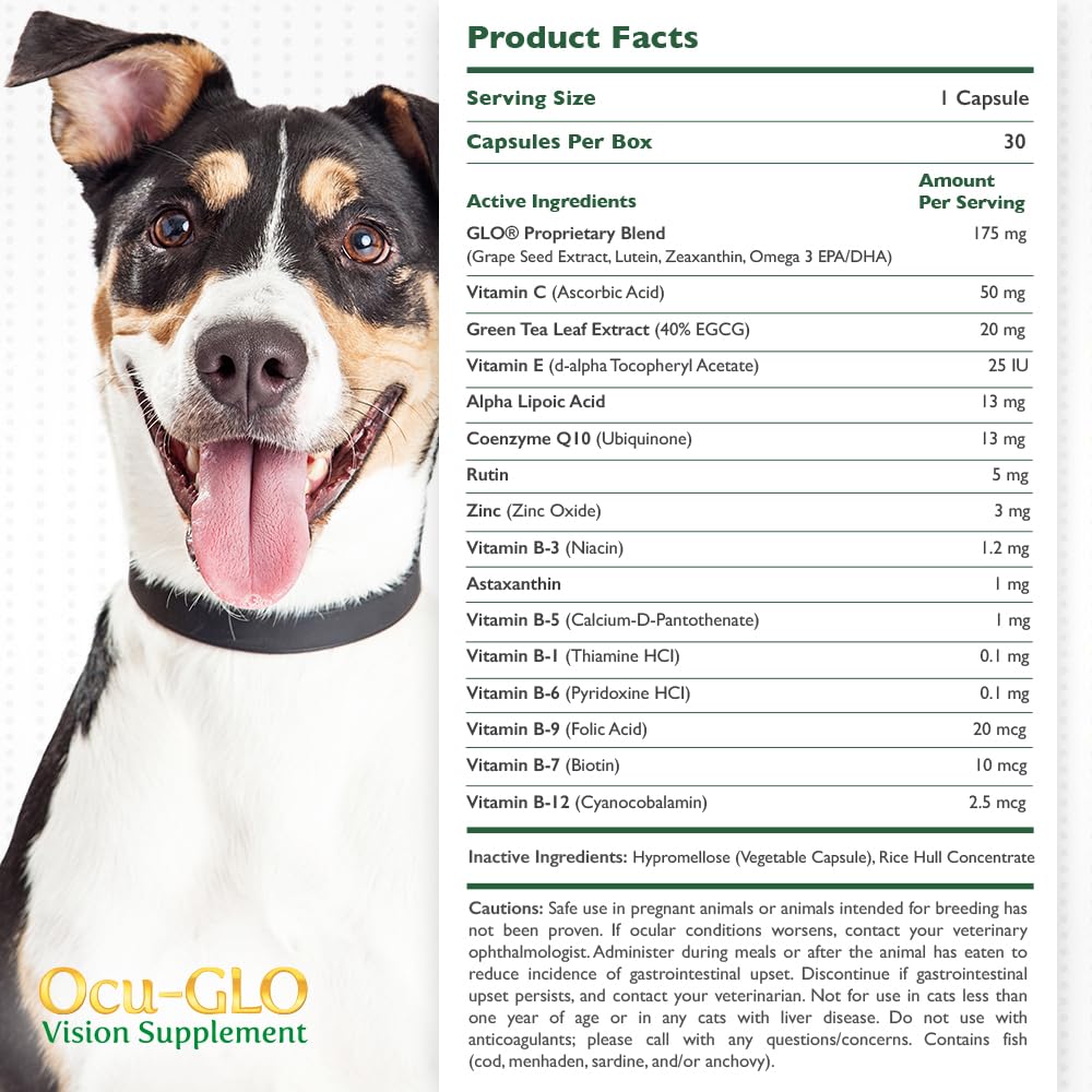 Ocu-GLO PB cápsulas espolvoreables para perros y gatos, fácil de administrar.
