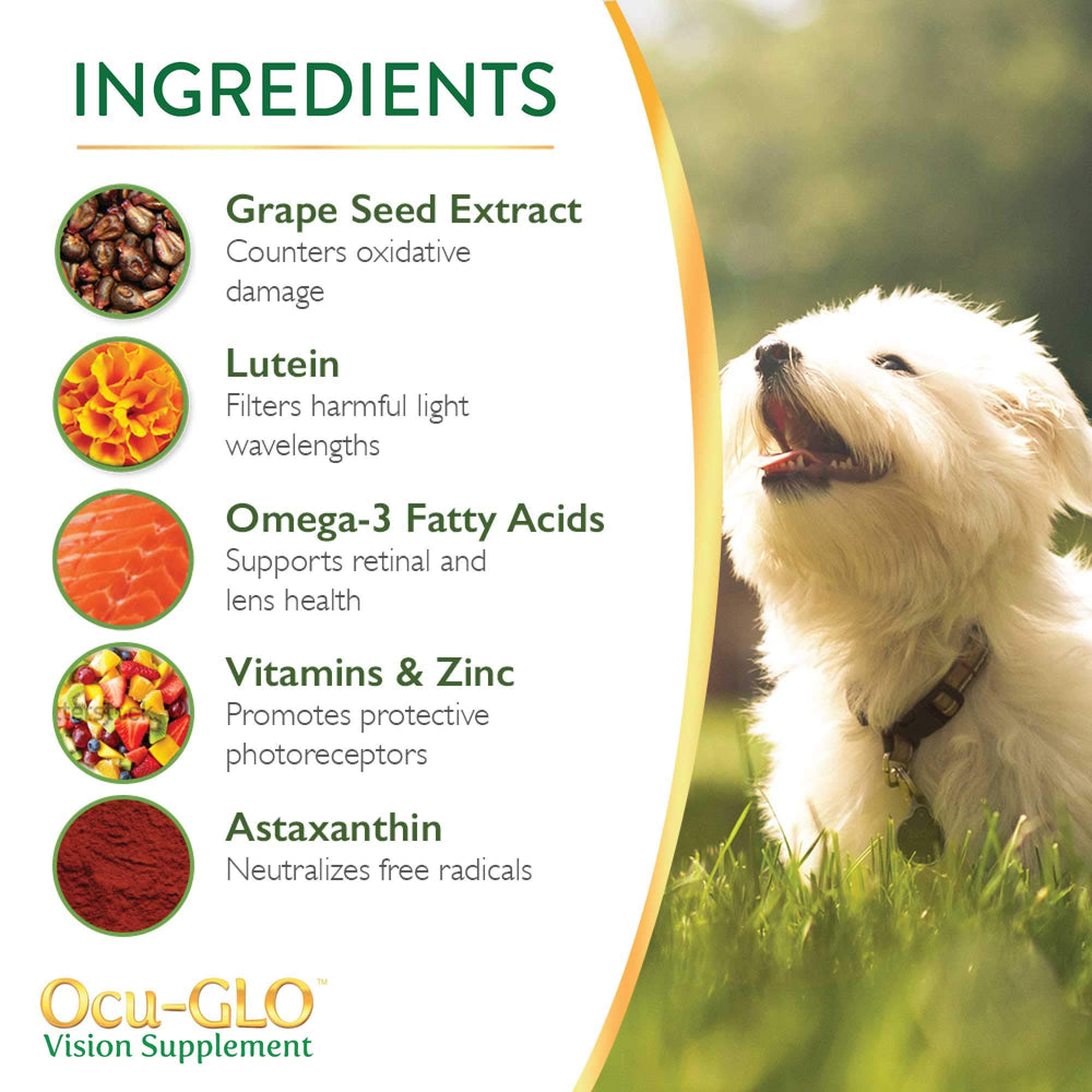 Ocu-GLO PB mezcla en comida, textura suave y digestión cómoda.