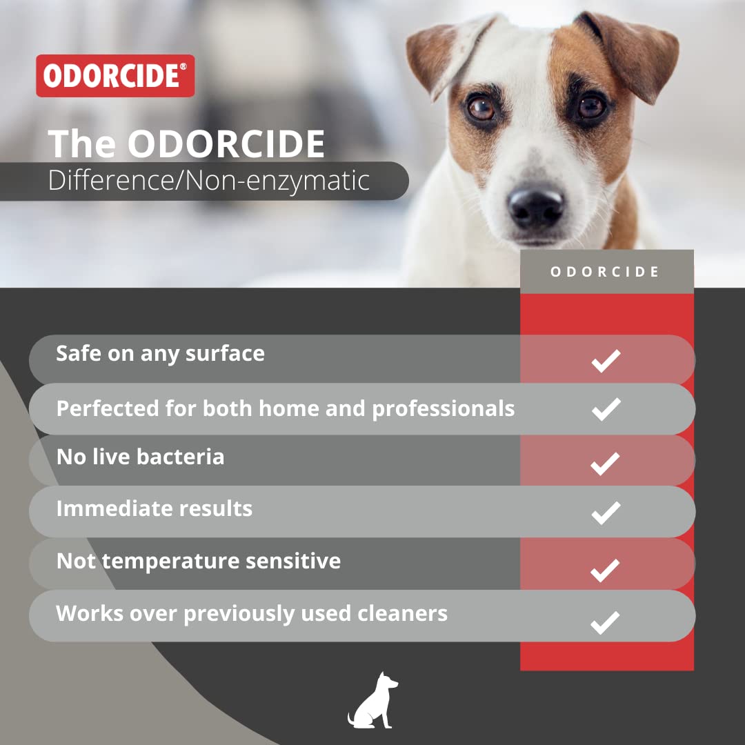 Odorcide 210, seguro para mascotas y niños tras la aplicación