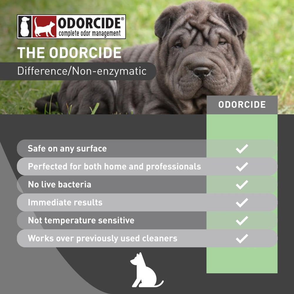 Odorcide concentrado en alfombras interiores, neutraliza olores de humo y mascotas