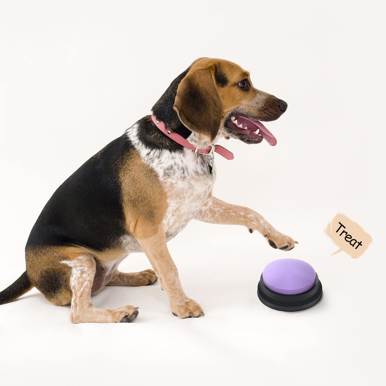 OFVENS: botón de grabación para enseñar comandos a gatos y perros.