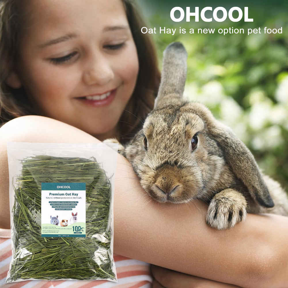 Ohcool conejillos de indias masticando heno de avena