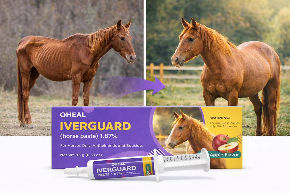 OHEAL IverGuard Paste, dosis de 15 mL, uso eficiente en establos.