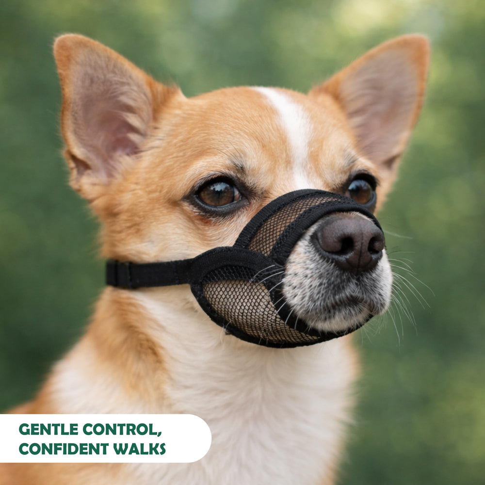 OHNSO mordaza para perro pequeño diseño no restringido permite respirar y beber