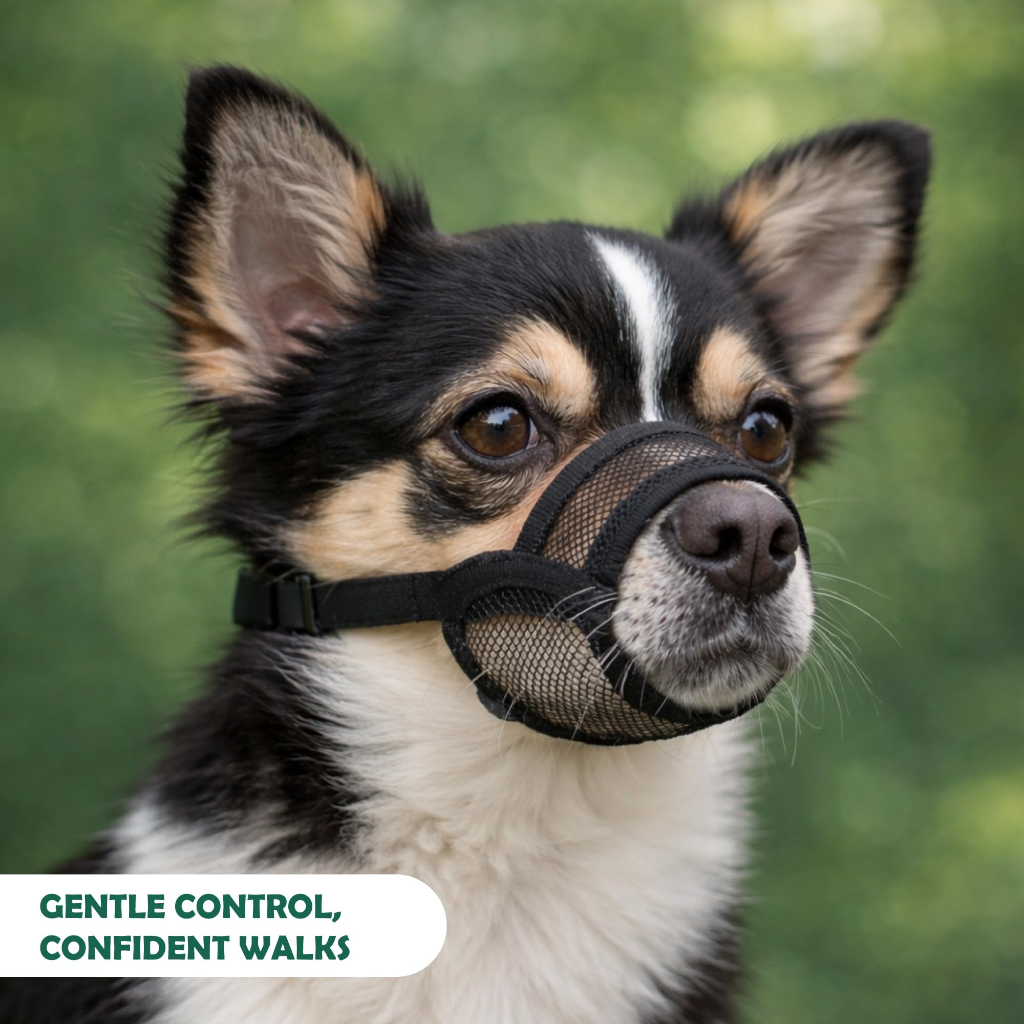 OHNSO mordaza para perro pequeño limpieza rápida y sencilla después de cada sesión