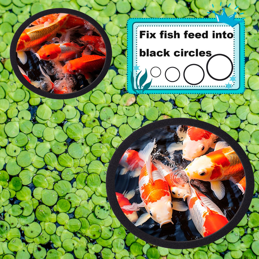 OIIKI anillos de 21 cm permiten alimentar selectivamente a peces exigentes.