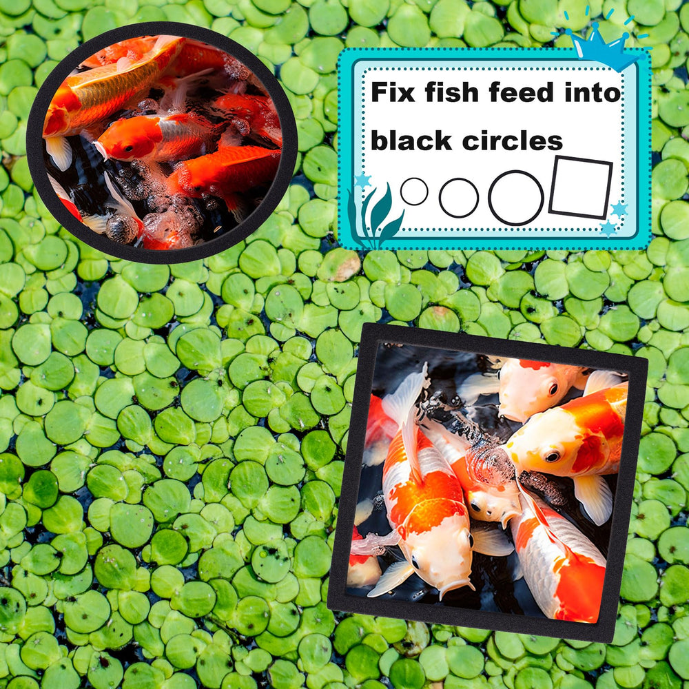 OIIKI: corral de plantas flotantes para acuario, manteniendo zonas separadas.