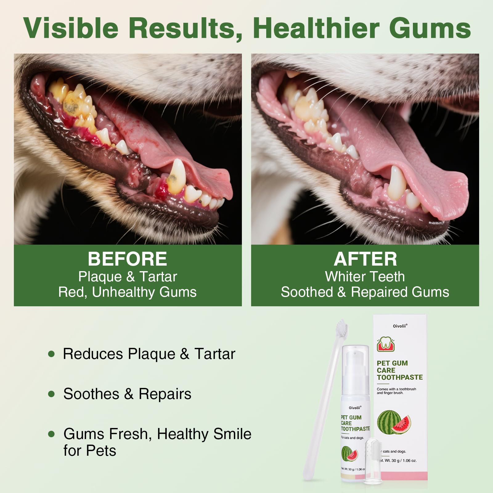 Kit de pasta dental Oivolii para perros con cepillo largo incluido.