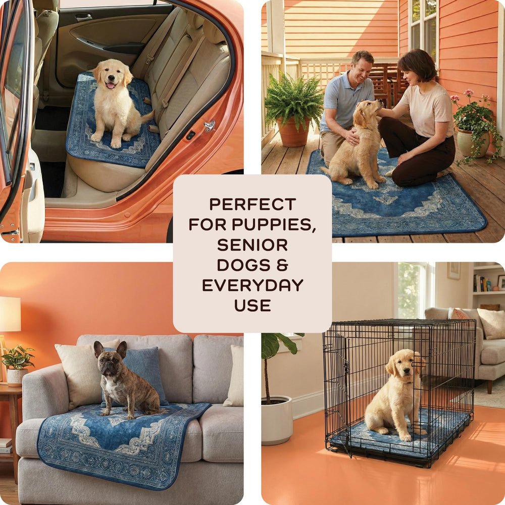O'JAY Pads: reutilizable y lavable a máquina para ahorro