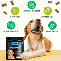 OKKÖBI chicles sabor carne, opción sabrosa para perros