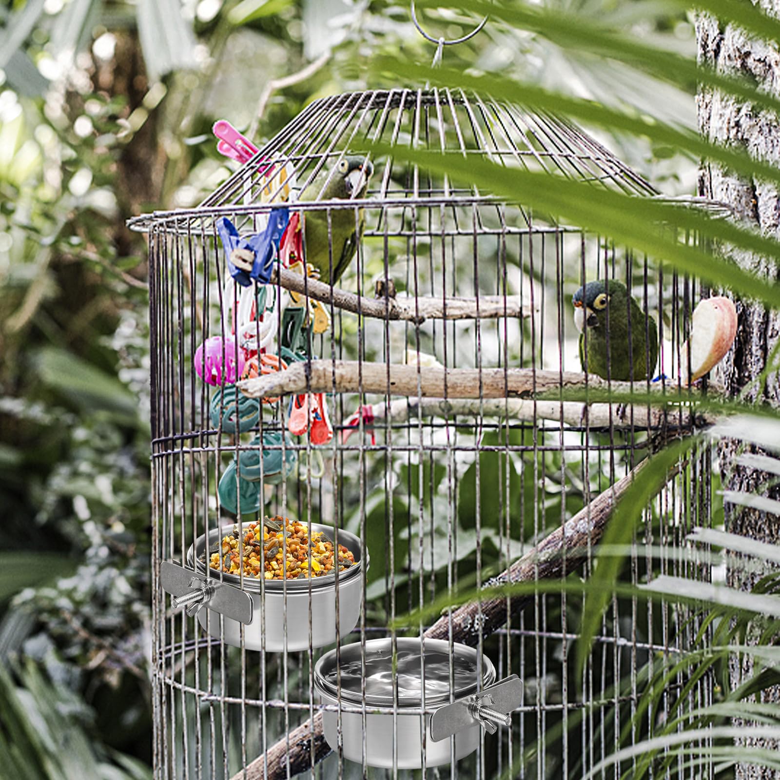 Okllen conjunto de 4 cuencos de alimentación para aves enjaula