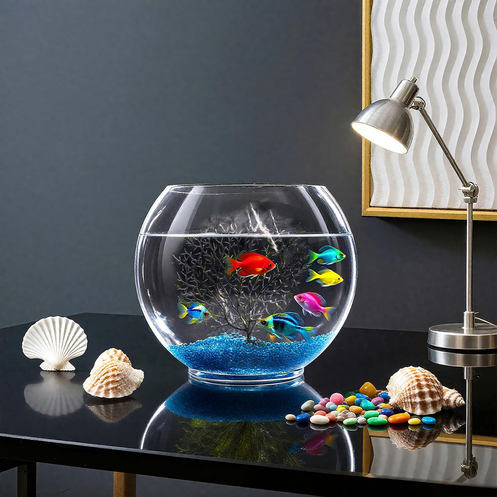Okllen kit regalo para acuario betta listo para montar