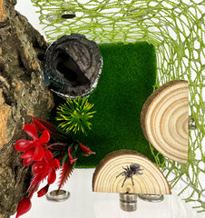Okueejur segunda plataforma magnética para arácnidos arborícolas, fácil ajuste para diseño del terrario.