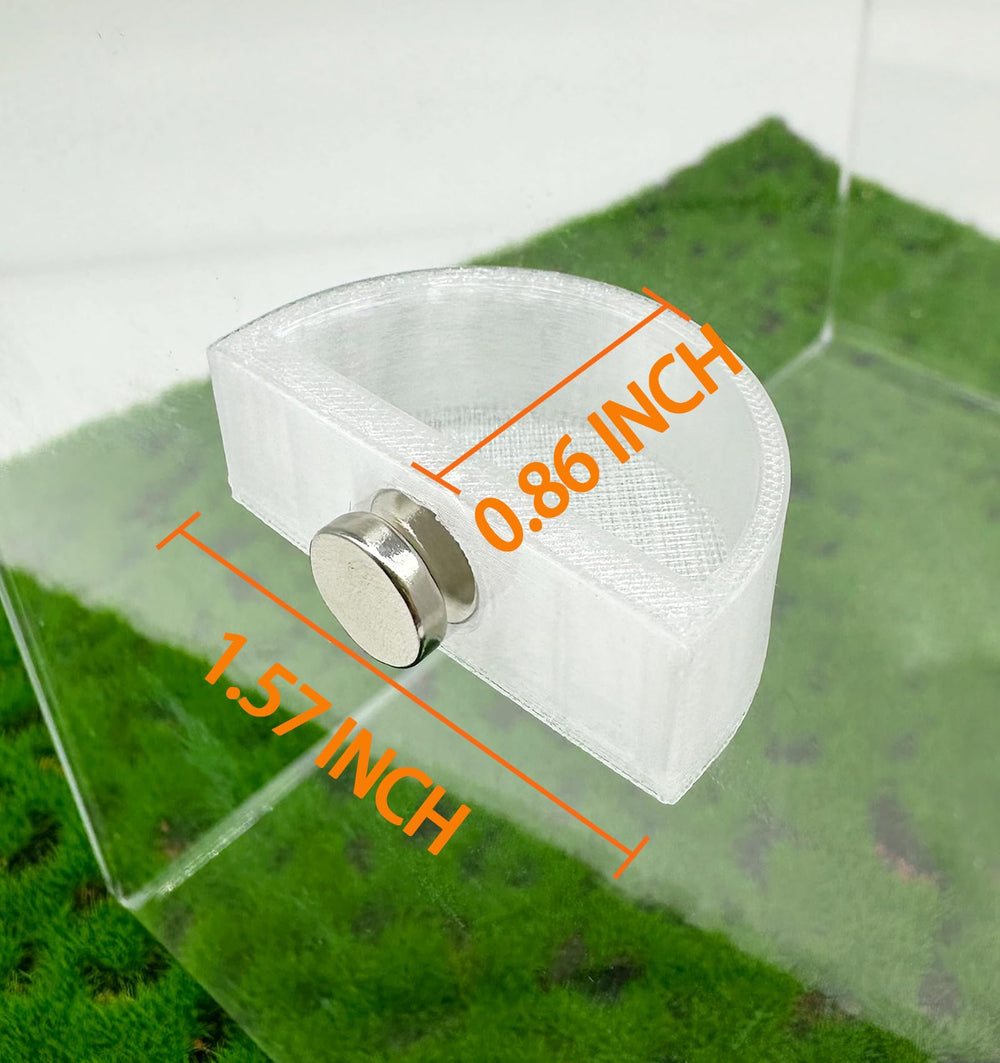 Okueejur taza agua arana saltadora, ideal para sesiones de mantenimiento y observación.