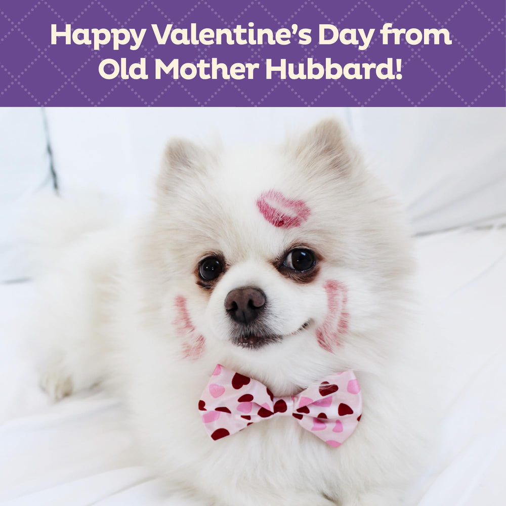 Old Mother Hubbard, más de 90 años de confianza en galletas naturales para perros.