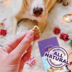 Formas de temporada de galletas para perros Old Mother Hubbard