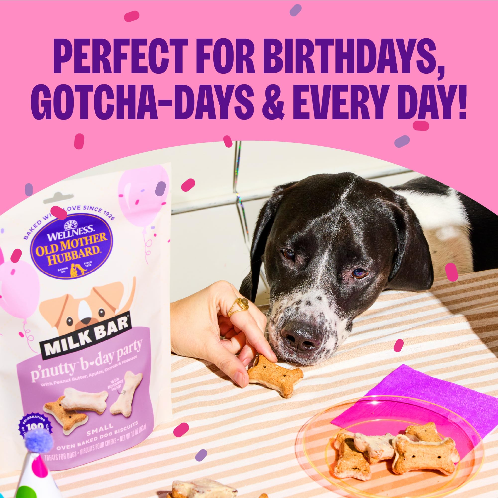 Old Mother Hubbard Milk Bar P’Nutty B-Day Party, apto para perros pequeños.