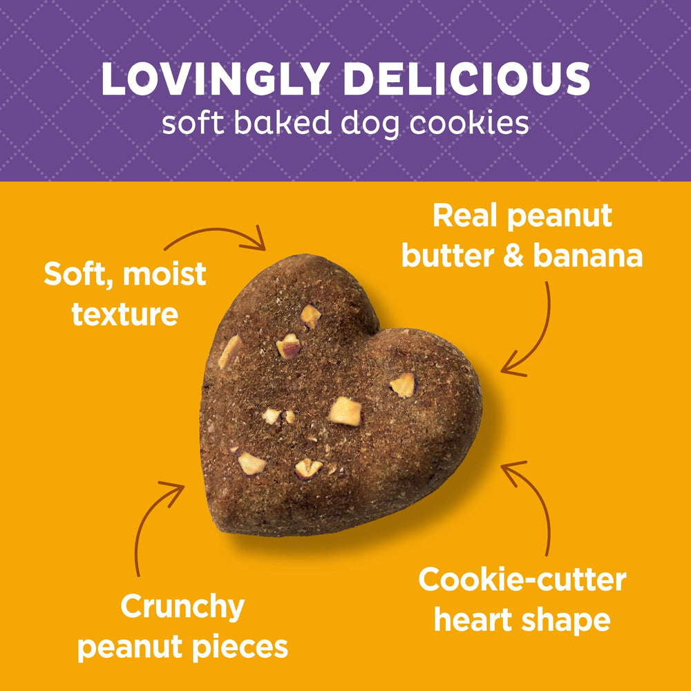 Old Mother Hubbard Wellness ingredientes naturales visibles en la galleta para perros.