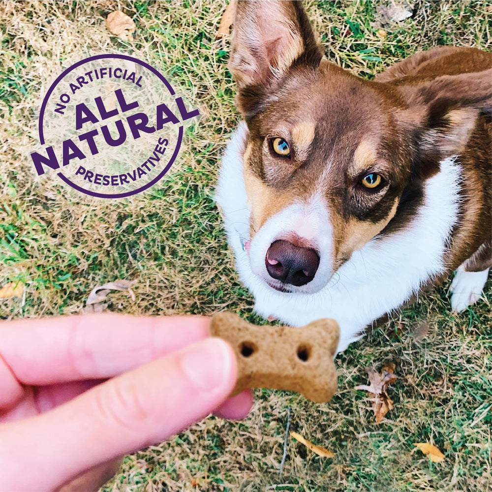 Old Mother Hubbard Wellness P-Nuttier, sabor mantequilla de cacahuete, premio para perros.