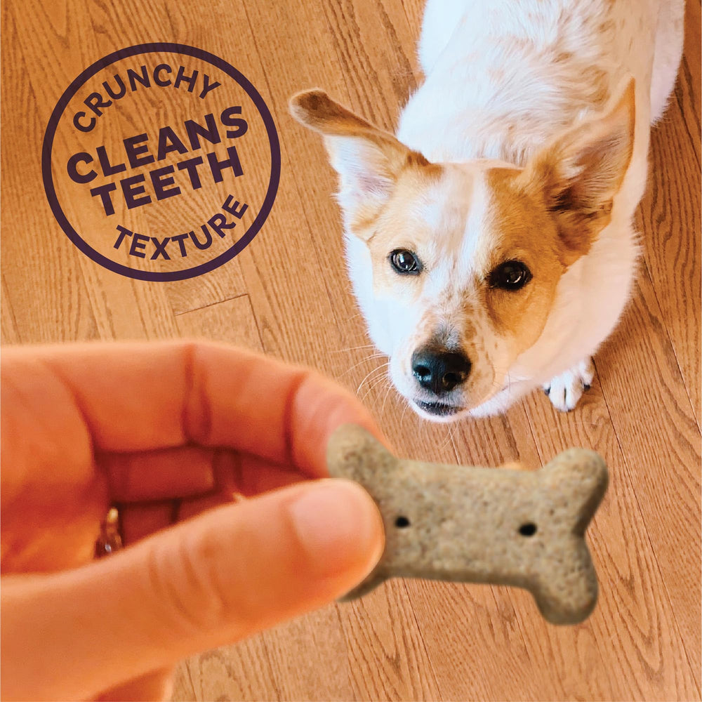 Old Mother Hubbard Wellness P-Nuttier, textura crujiente que ayuda a limpiar dientes durante el mordisqueo.