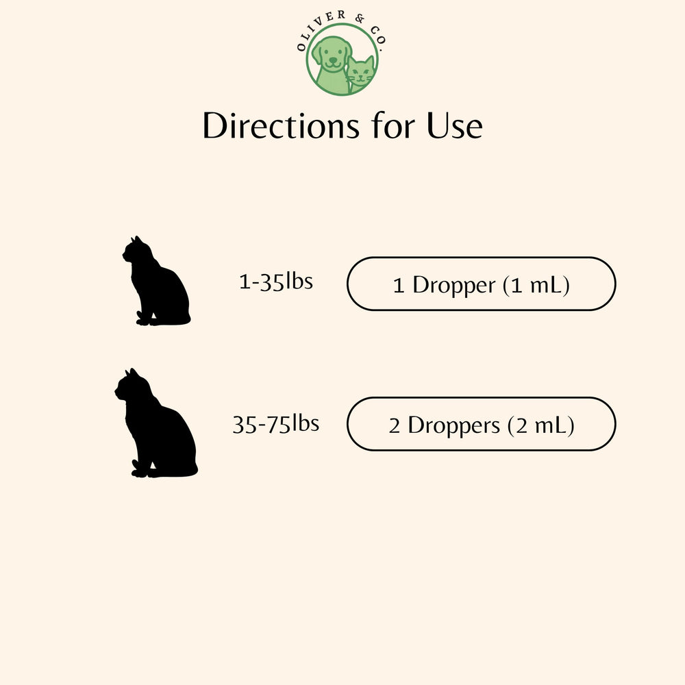 Texto que sugiere efecto de apoyo a la inmunidad de gatos con L-Lisina.