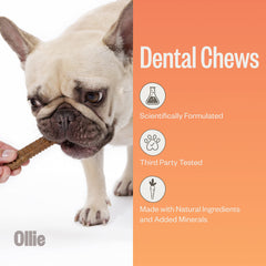 Ollie Huesos dentales con aliento fresco para perros.