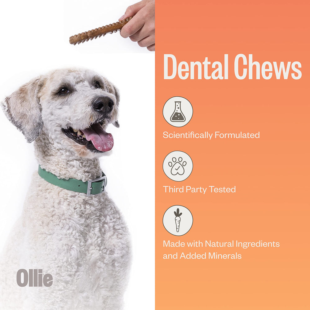 Ollie Huesos dentales para perros grandes, en masticación, facilita limpieza bucal suave.