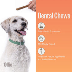 Ollie Huesos dentales para perros grandes, en masticación, facilita limpieza bucal suave.