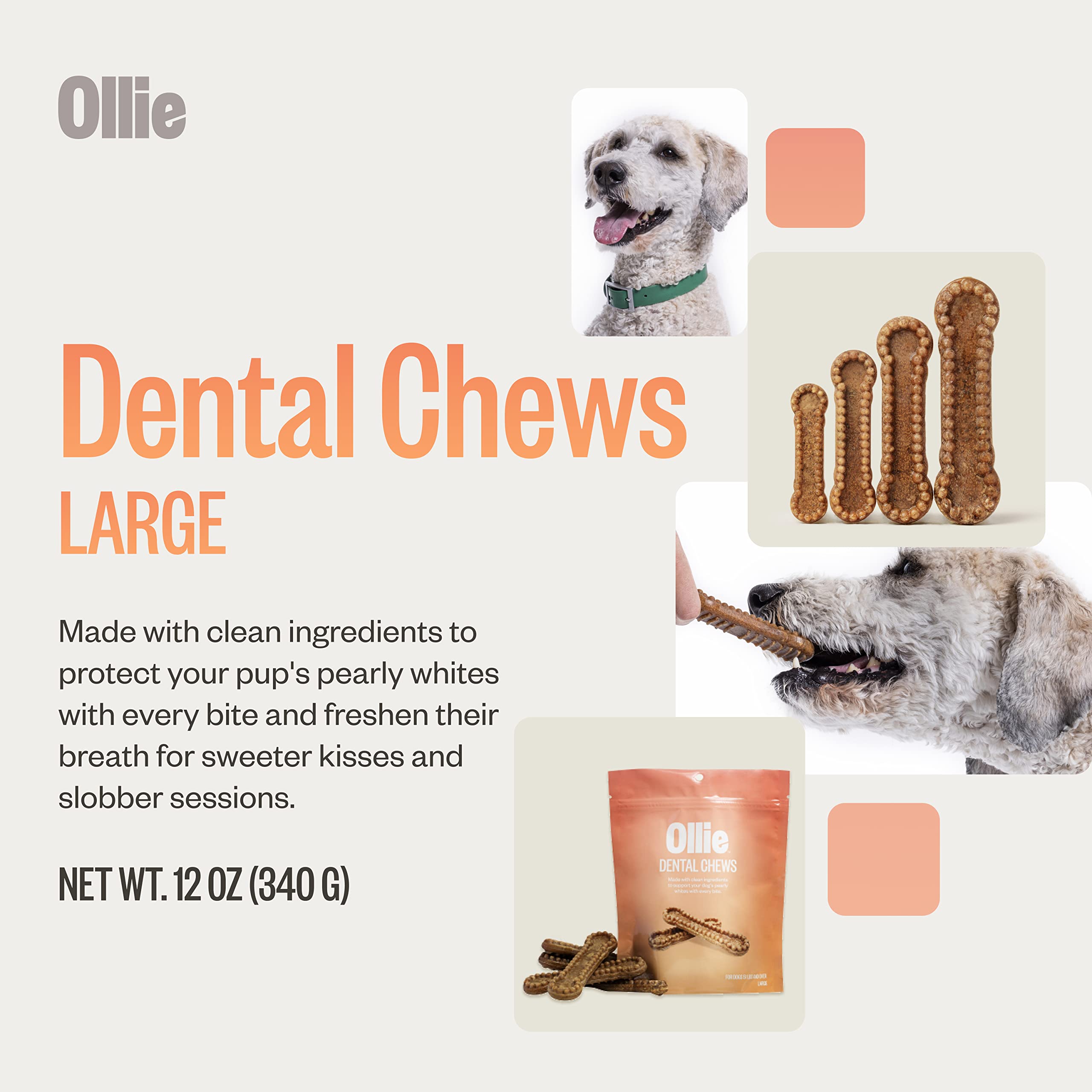 Ollie Huesos dentales con perejil y canela, sabor agradable para uso diario.
