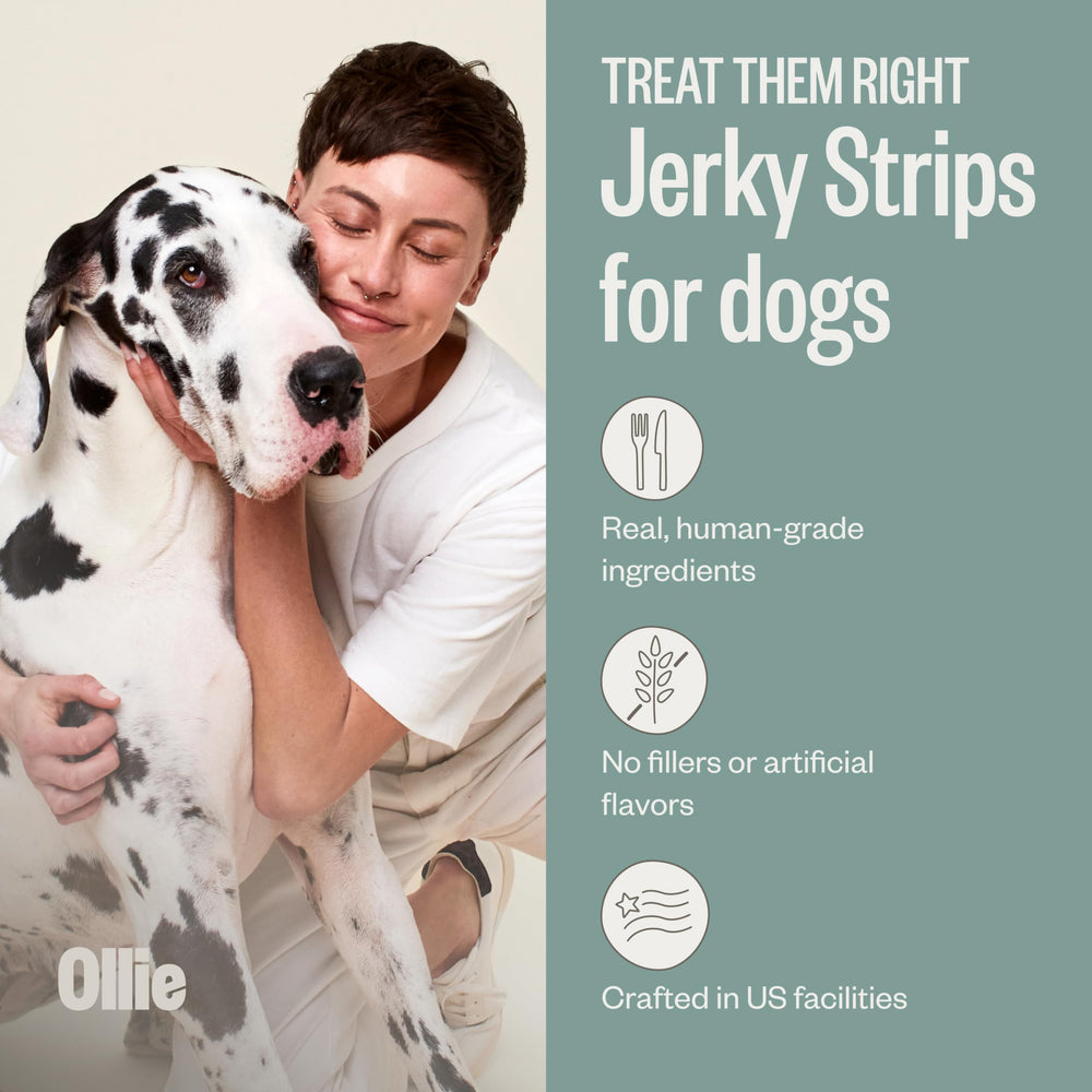 Ollie Jerky pollo y manzana, ingredientes fáciles de pronunciar.