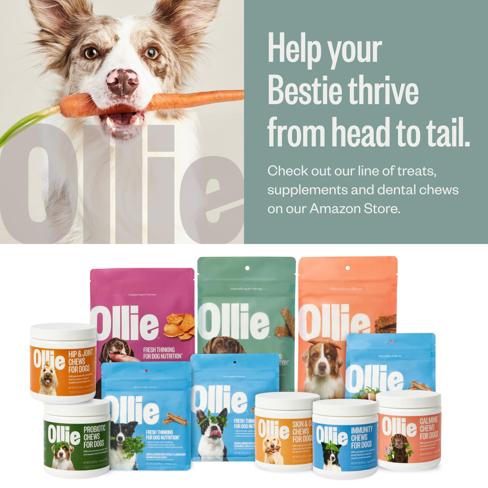 Ollie Jerky pollo y manzana, snack saludable para perros activos.