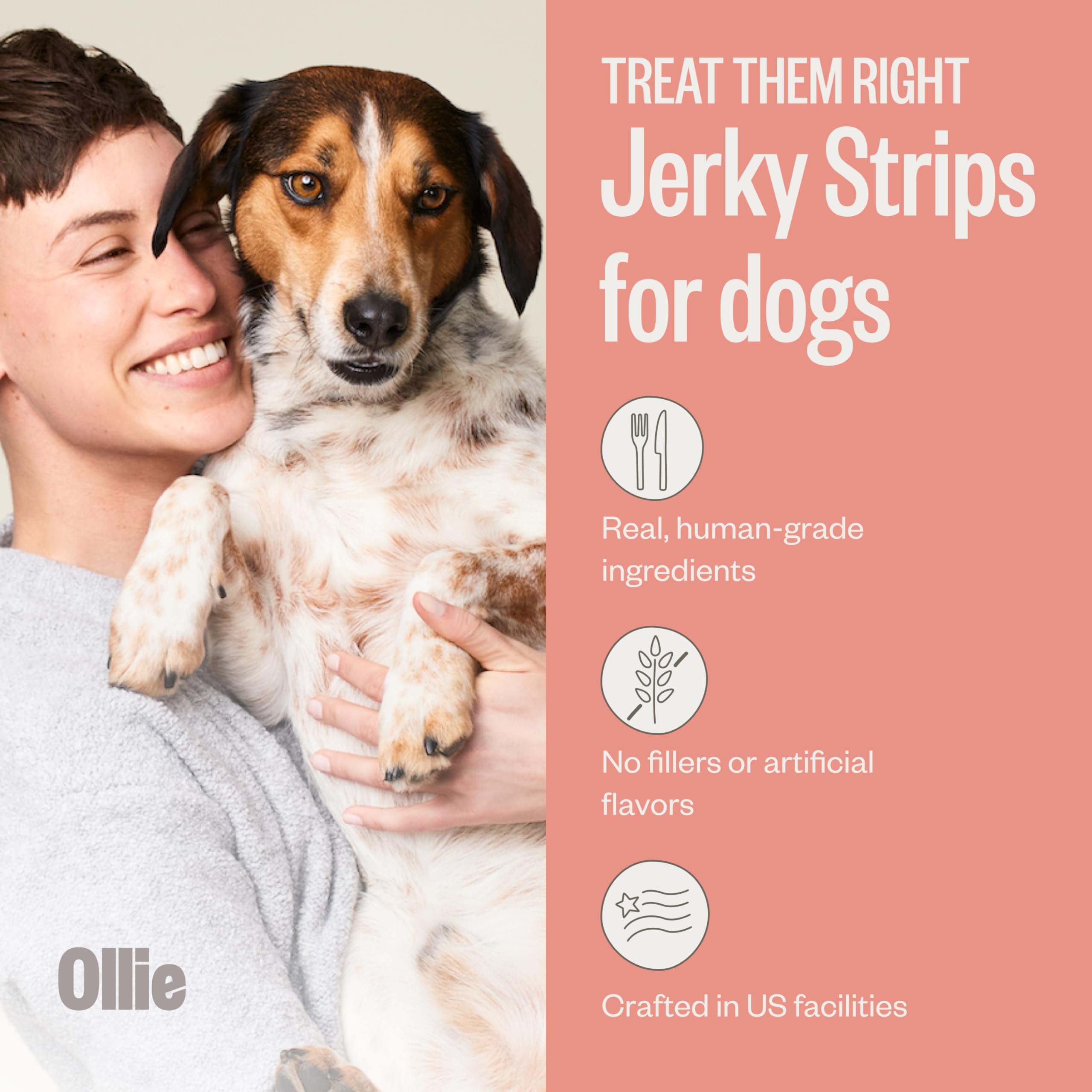Ollie Made in USA label indicates high-quality, human-grade dog snacks.