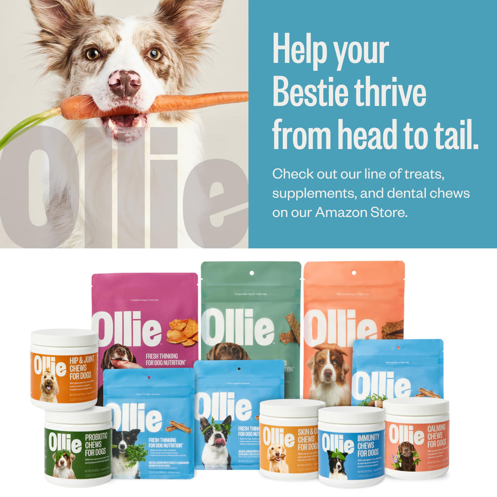 Ingredientes simples de Ollie jerky para perros, snack natural