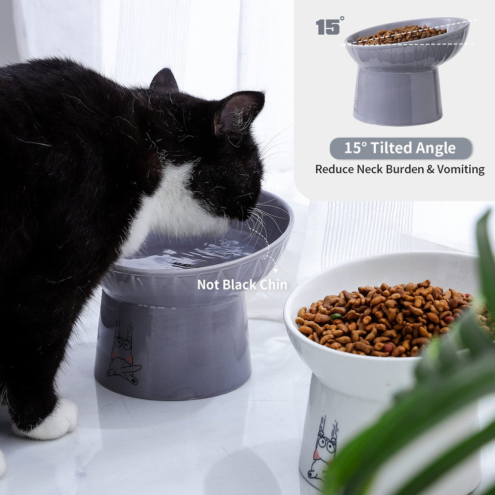 OMAYKEY tazón cerámico ovalado para una alimentación más cómoda.
