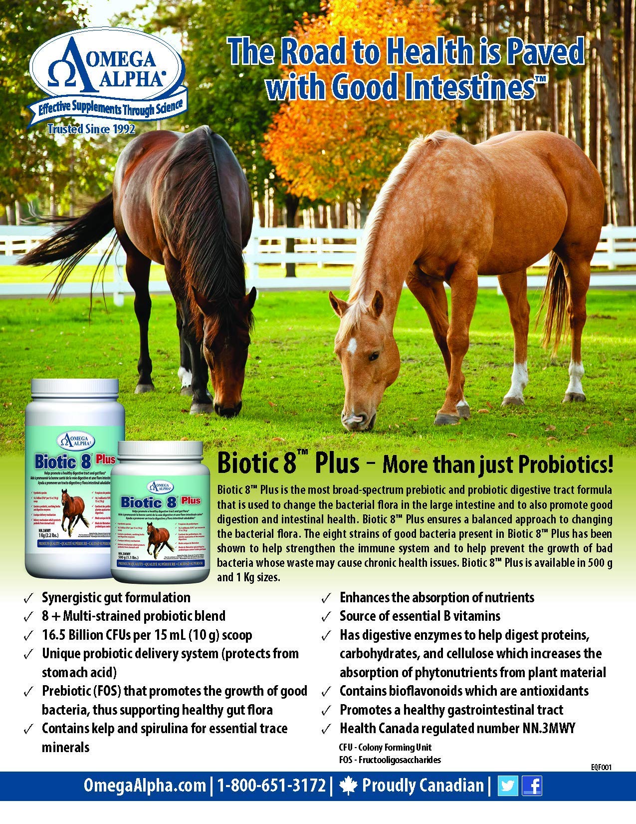 Omega Alpha Biotic 8: polvo probiótico para incorporar en la ración diaria de caballos.