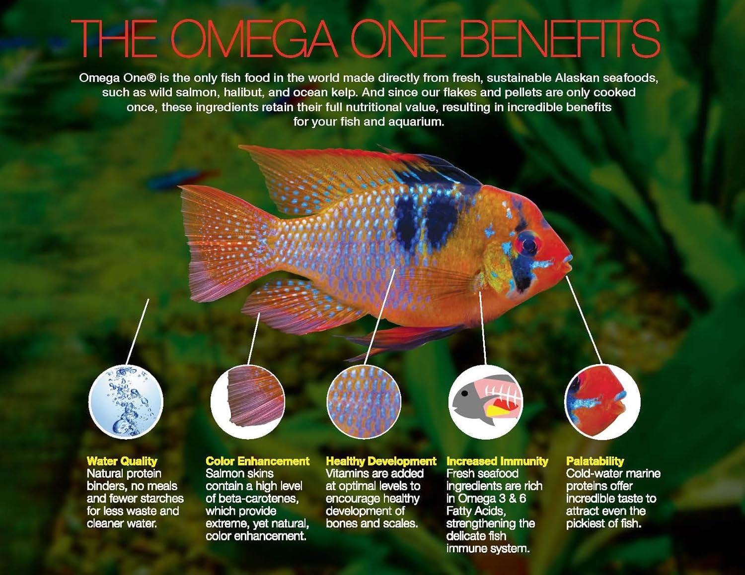 Omega One copos para pez dorado, tanque más limpio gracias a copos insolubles