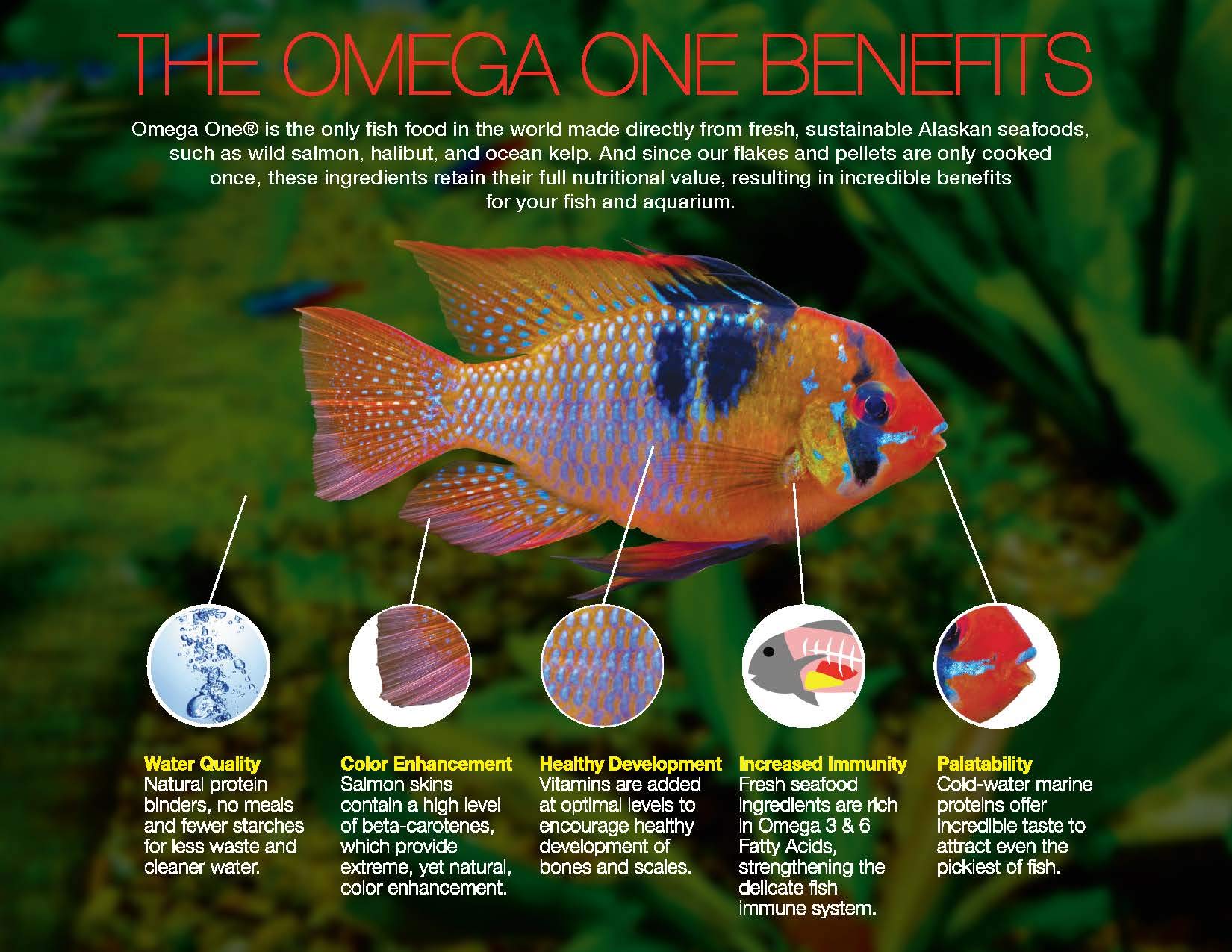 Omega One pellets en paquete de 3lb, práctico para reposición rápida.