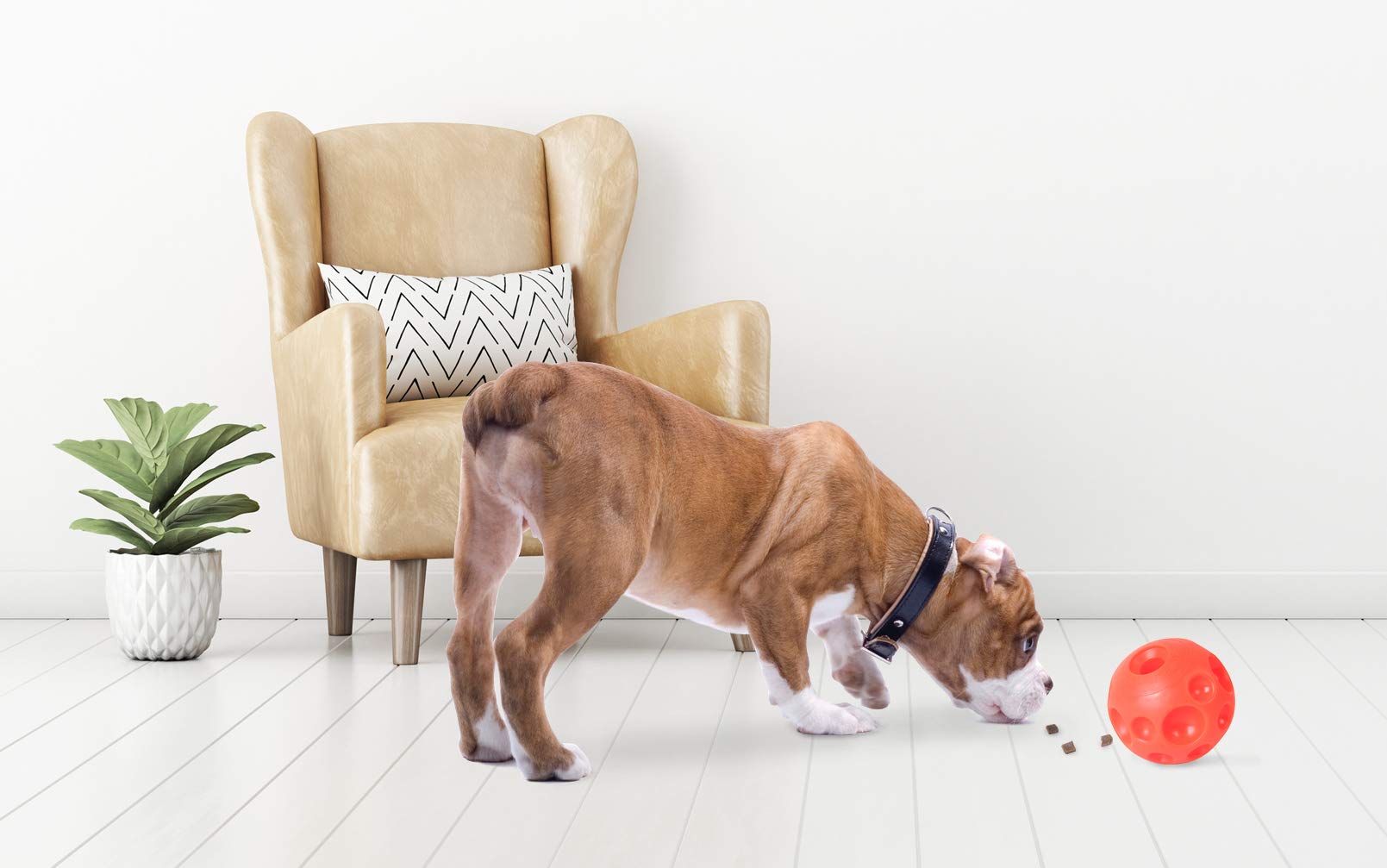 Omega Paw bola dispensadora de premios para perros mediana naranja facilita juego.